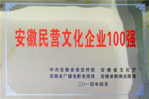 安徽民營文化企業(yè)100強(qiáng)